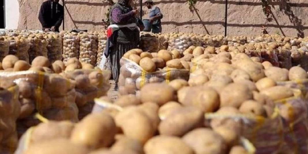 Patatesler bozulmadan aylarca dayanıyor! Ne filizlenme ne de küf: Doğru saklama yöntemiyle tanışın! 2